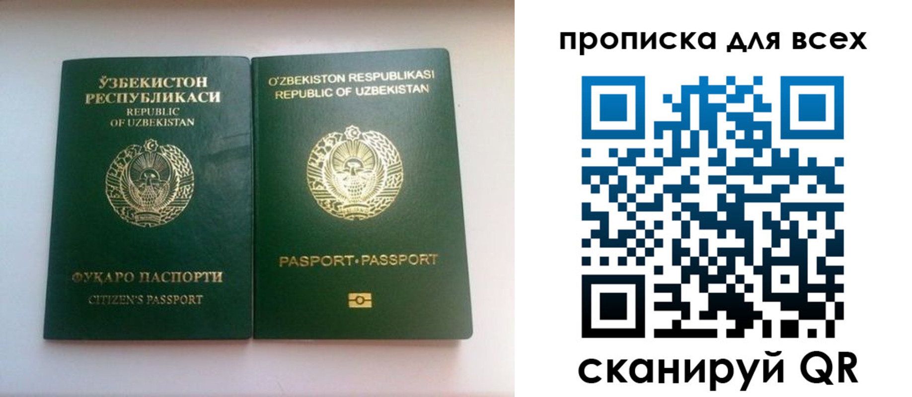 прописка для школы в Валдае
